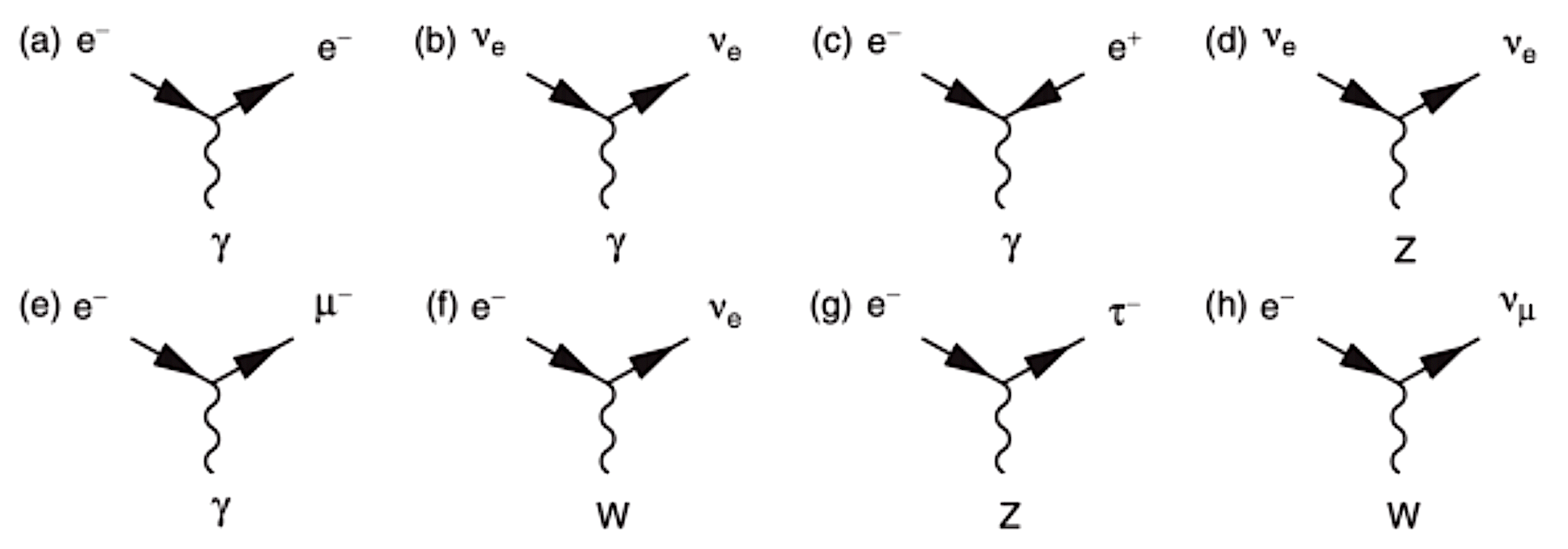 ../../_images/bol4_vertices.png