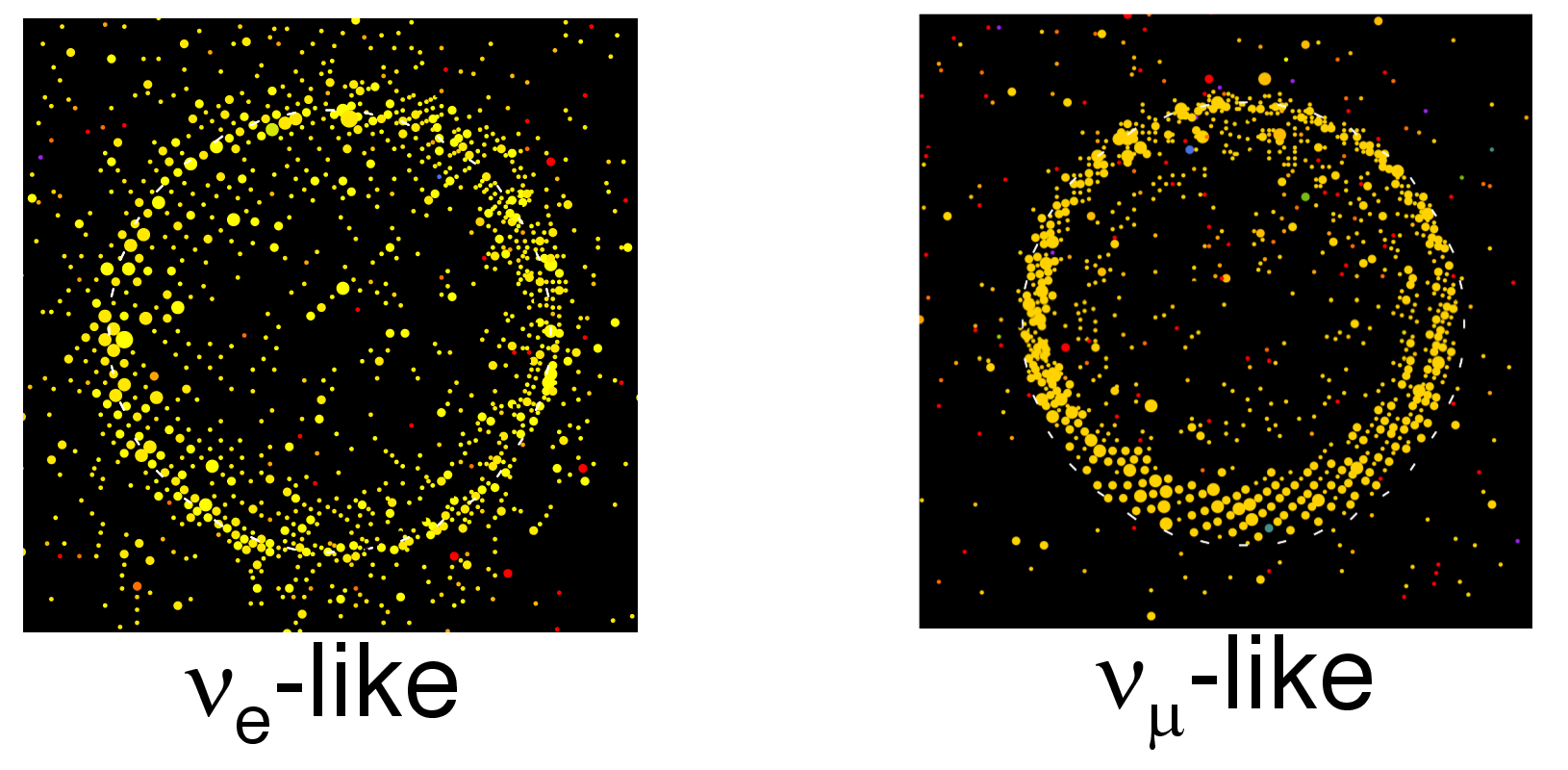 ../_images/det_SK_e_mu_rings.png