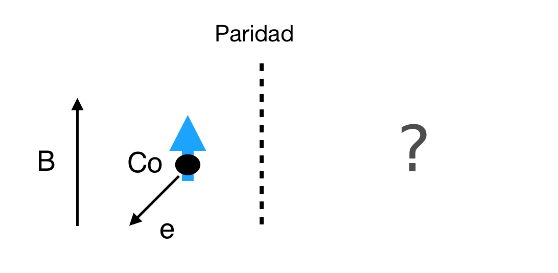 ../_images/leptons_Co_spins_pregunta.png