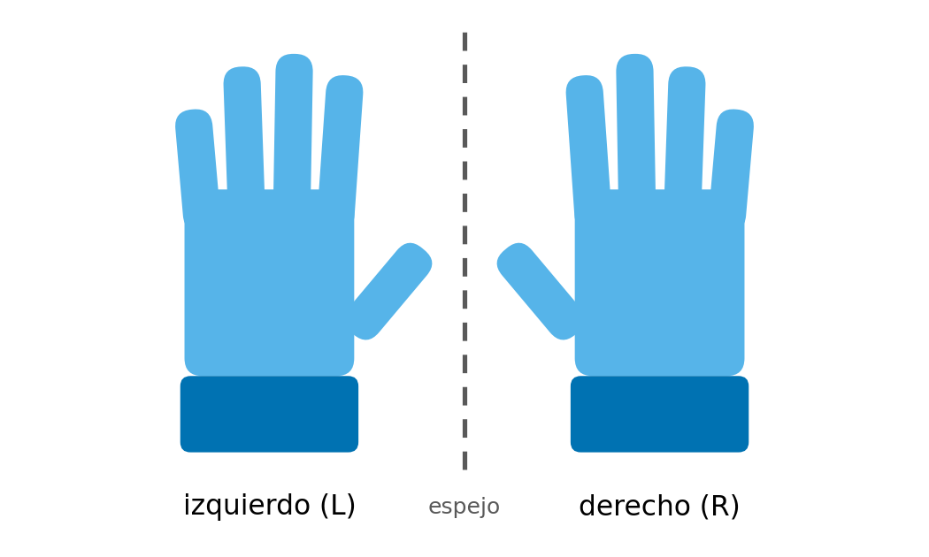 ../_images/leptons_guantes.png