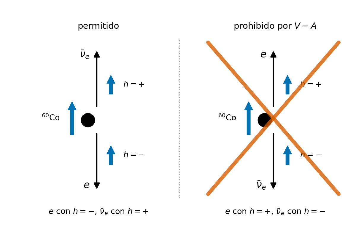 ../_images/leptons_wu_helicidades.png
