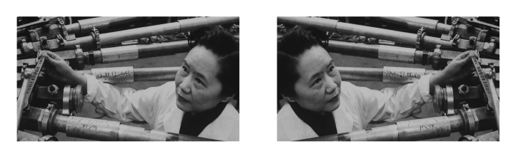 ../_images/leptons_wu_mirror.png